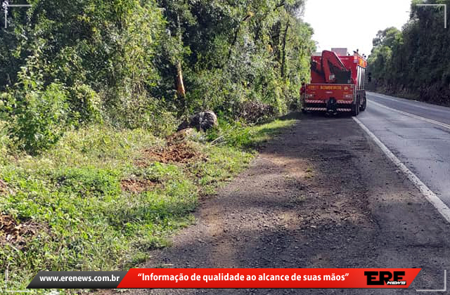 GRAVE ACIDENTE NA BR-116 NA TARDE DESTE SÁBADO DEIXA UMA PESSOA FERIDA ...